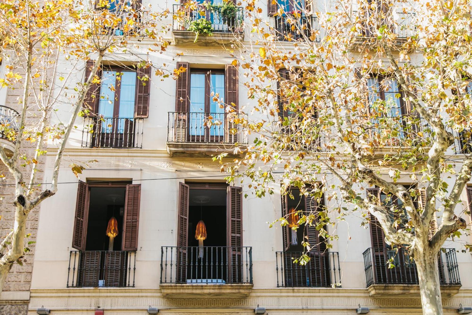 Zoorooms Boutique Guesthouse Barcelona Kültér fotó