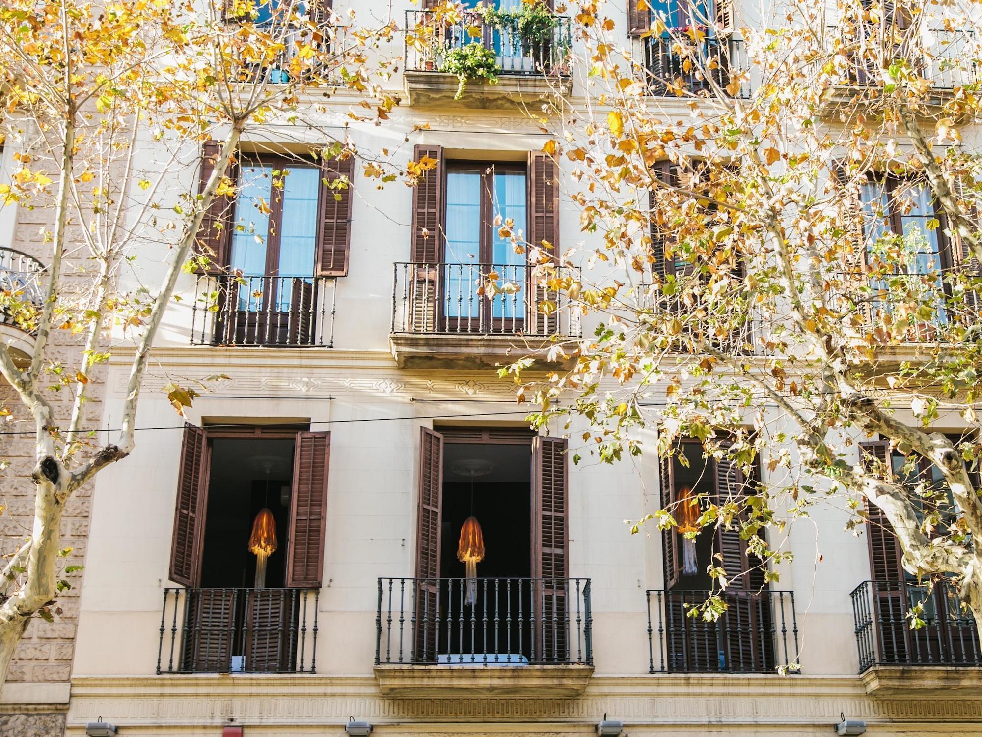 Zoorooms Boutique Guesthouse Barcelona Kültér fotó